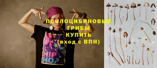 apvp Кукмор