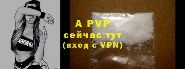 apvp Кукмор