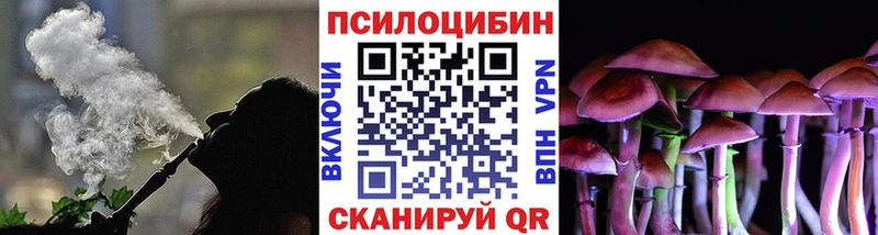 Галлюциногенные грибы Psilocybe  Юрьевец 